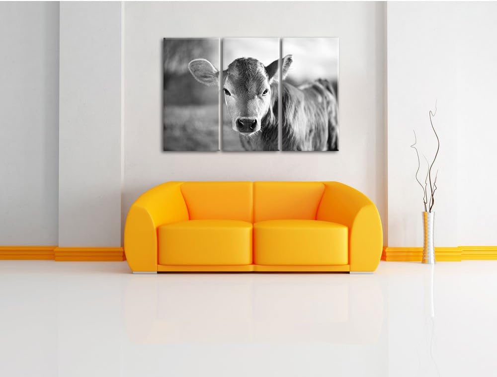 Pixxprint Junge Kuh Kälbchen Kunst B&W als Leinwandbild/Grösse: 3 Teilig (120x80) cm/Wandbild/Kunstd