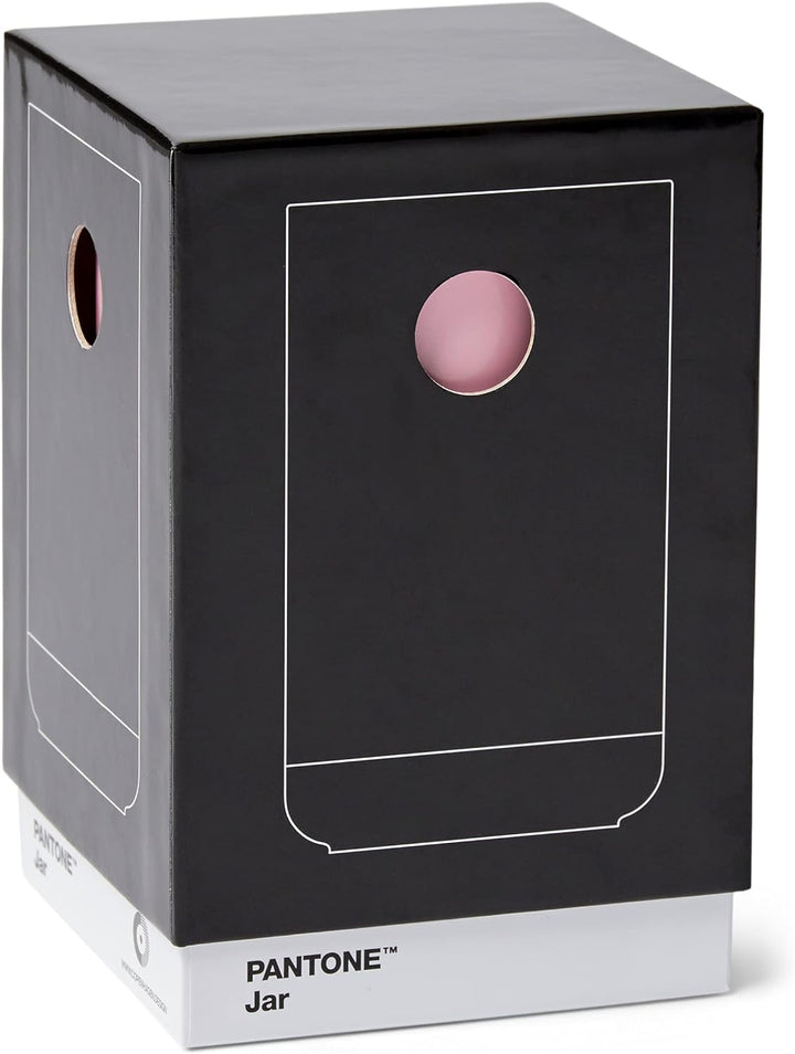 Pantone Porzellan Vase mit Geschenkbox, Jar, dekorative hochwertige Blumenvase, 1 Liter, Light Pink