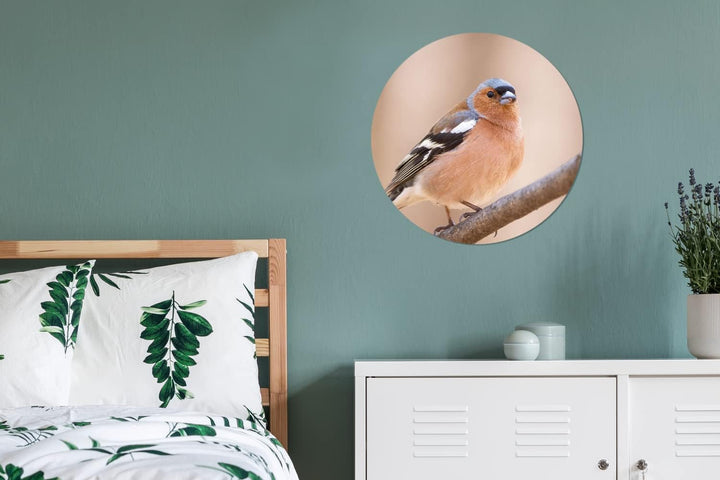 MuchoWow Wandbild Rund Wanddeko Deko Wohnzimmer Bilder 60x60 cm Vogel - Tiere - Fink, 60x60 cm