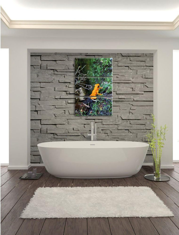Pixxprint hochgiftiger Kleiner Frosch als Leinwandbild/Grösse: 3 Teilig (120x80) cm/Wandbild/Kunstdr
