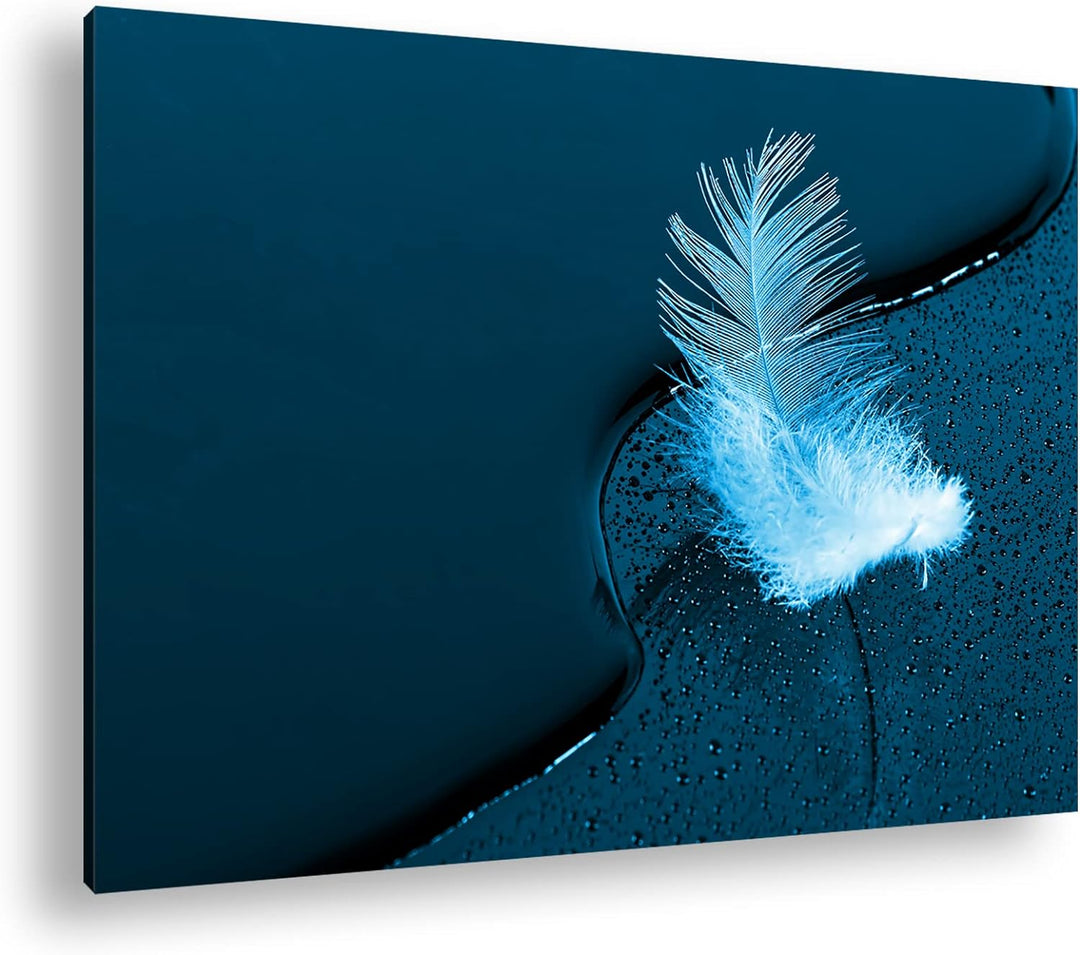 deyoli schöne Feder mit Wassertropfen Format 80x60 Effekt: Monocrome Blau als Leinwandbild, Motiv fe