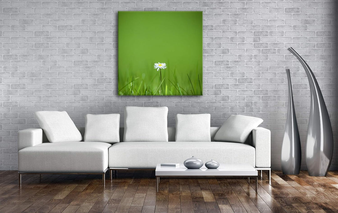deyoli einzelnes Gänseblümchen Format: 70x70 als Leinwandbild, Motiv fertig gerahmt auf Echtholzrahm
