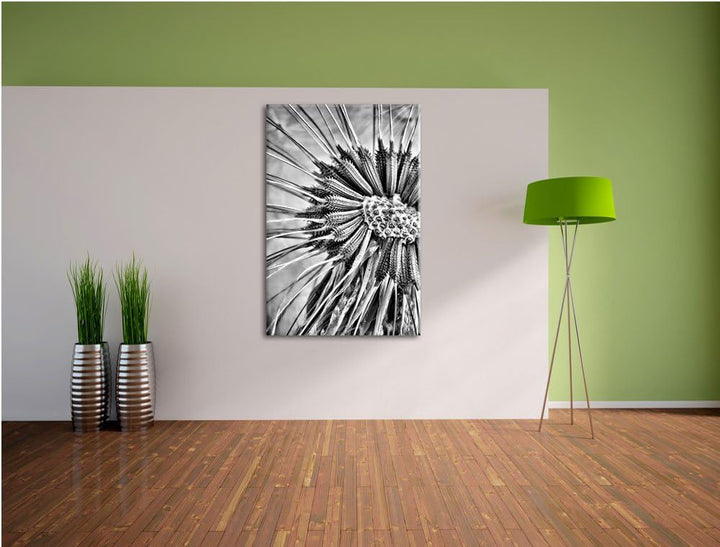 Pixxprint Monocrome, Vertrocknete Pusteblume, Format: 100x70 auf Leinwand, 100x70