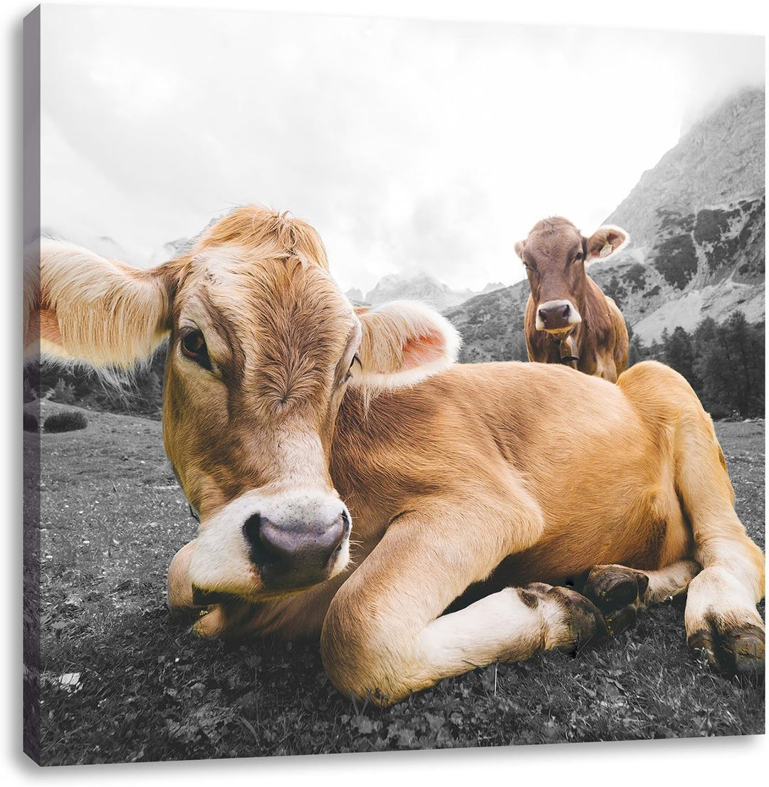 Pixxprint Almkuh in den Bergen als Leinwandbild/Grösse: 70x70 cm/Wandbild/Kunstdruck/fertig bespannt