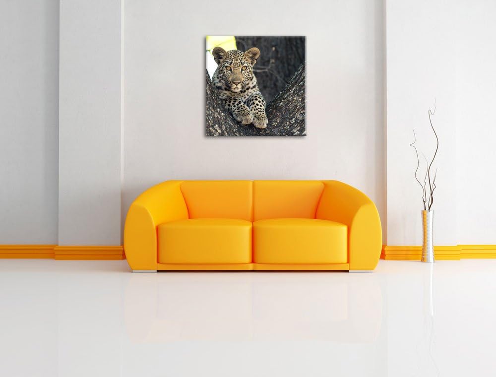 Pixxprint Leopardenbaby, Format: 70x70 auf Leinwand, XXL riesige Bilder fertig gerahmt mit Keilrahme