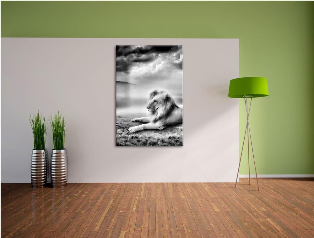 Pixxprint Monocrome, Stolzer weisser Löwenkönig, Format: 100x70 auf Leinwand, riesige Bilder fertig