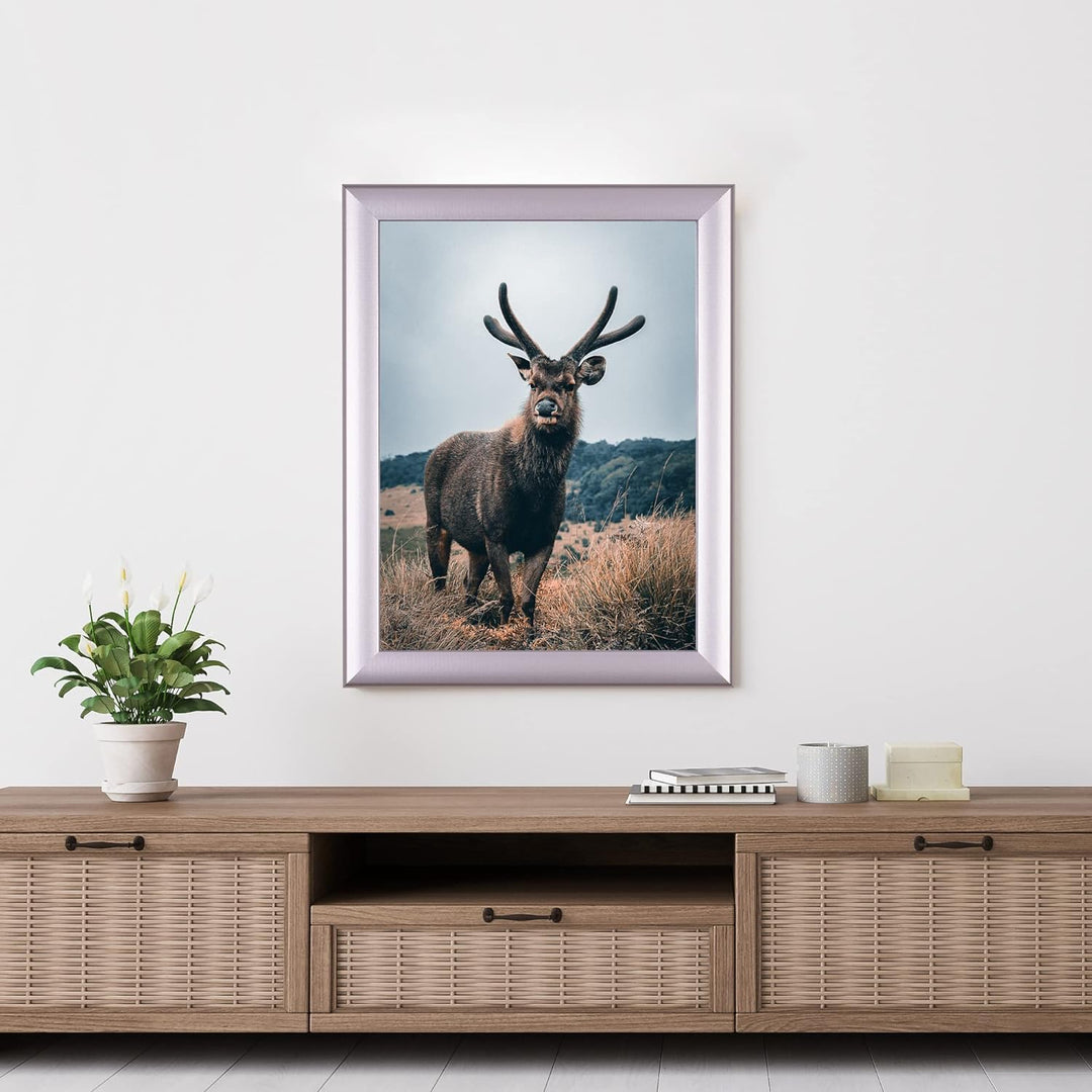 Rahmendesign24 Posterrahmen Fiona 50x50 Alu geschliffen Fotorahmen, Wechselrahmen, Bilderrahmen