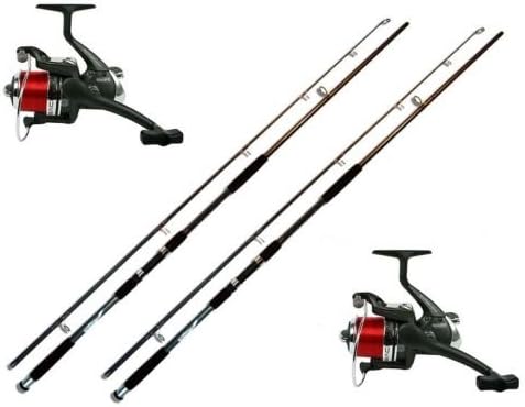 2 x Welsrute Waller Rute 3,00 Meter 200g + Rolle BM 7000 mit Schnur