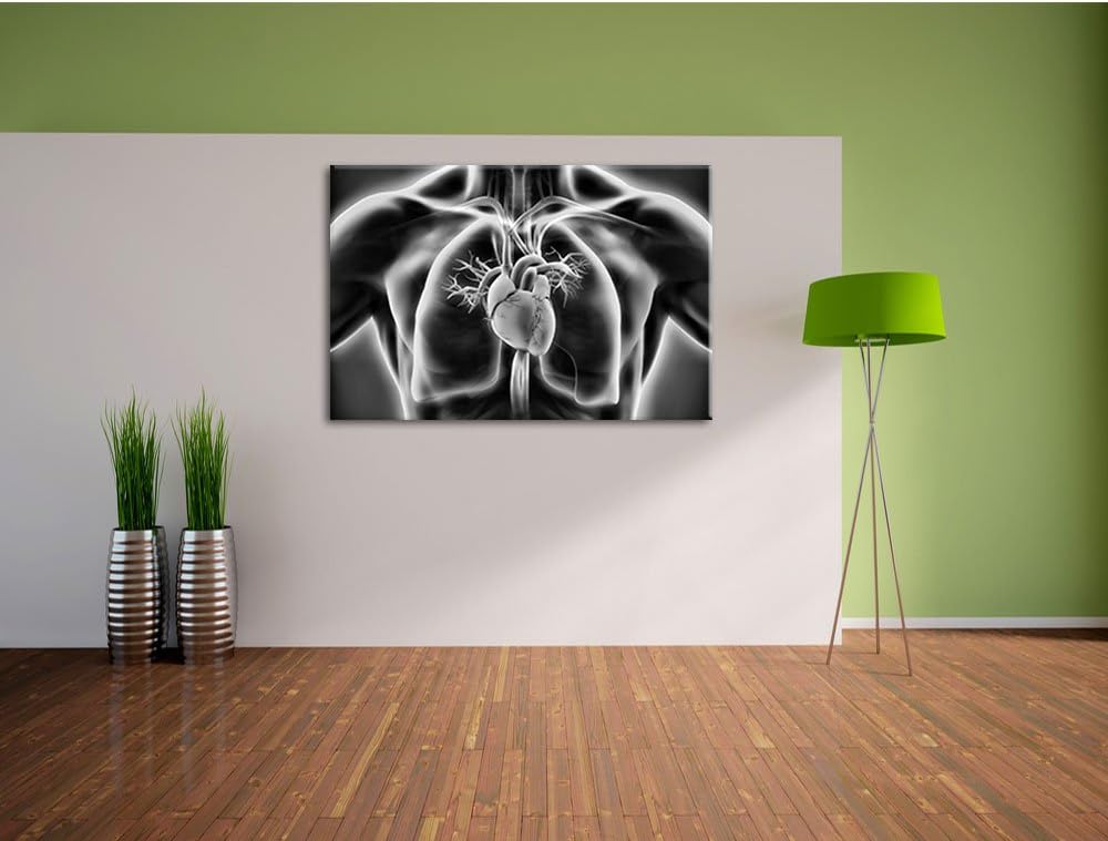 Pixxprint Herz des Menschen / 100x70cm Leinwandbild bespannt auf Holzrahmen/Wandbild Kunstdruck Deko