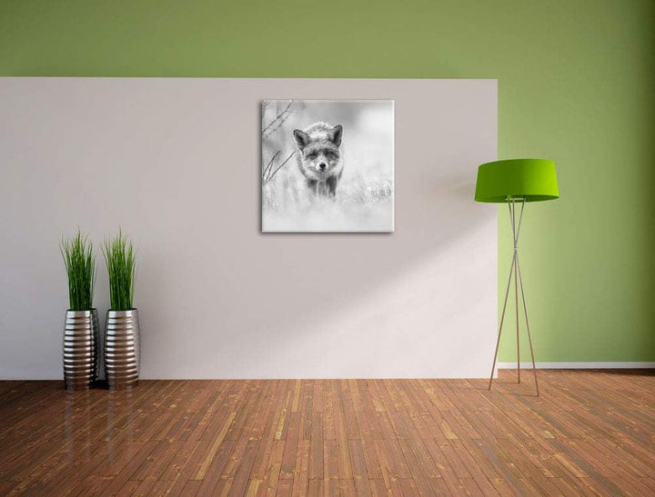 Pixxprint hübscher schleichender Fuchs als Leinwandbild Quadratisch/Grösse: 70x70 / Wandbild/Kunstdr