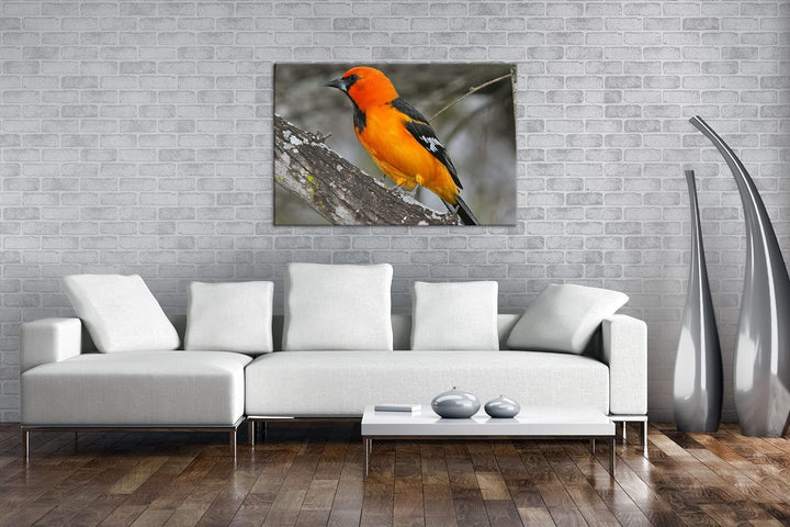 deyoli Anmutiger Vogel Format:90x60 cm als Leinwandbild, Motiv fertig gerahmt auf Echtholzrahmen, Ho