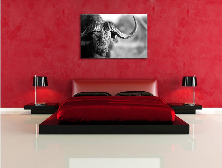 Pixxprint Kaffernbüffel mit kräftigen Hörnern Kunst B&W, Format: 100x70 auf Leinwand, XXL riesige Bi