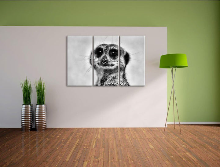 Pixxprint kleines frechen Erdmännchen als Leinwandbild | Grösse: 3 Teilig (120x80) | Wandbild| Kunst
