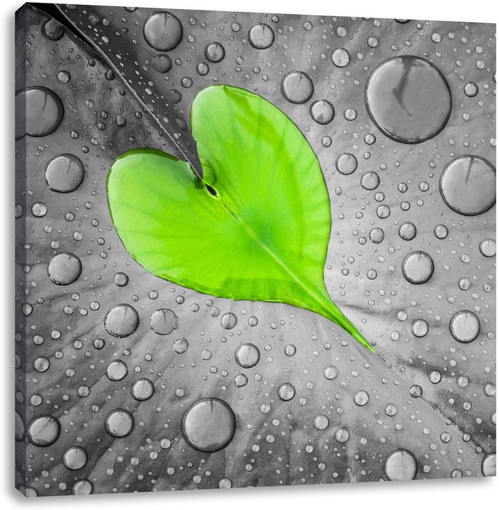 Pixxprint Tautropfen Herz als Leinwandbild | Grösse: 70x70 cm | Wandbild | Kunstdruck | fertig bespa