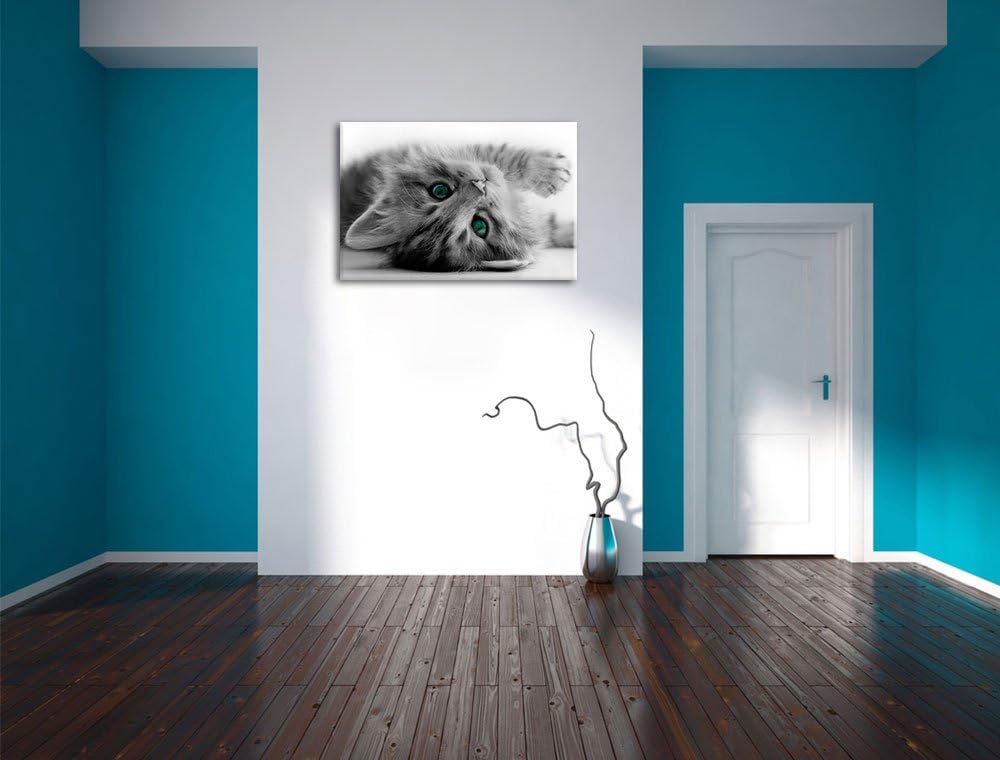 Pixxprint Süsses Katzenbaby als Leinwandbild/Grösse: 100x70 cm/Wandbild/Kunstdruck/fertig bespannt,