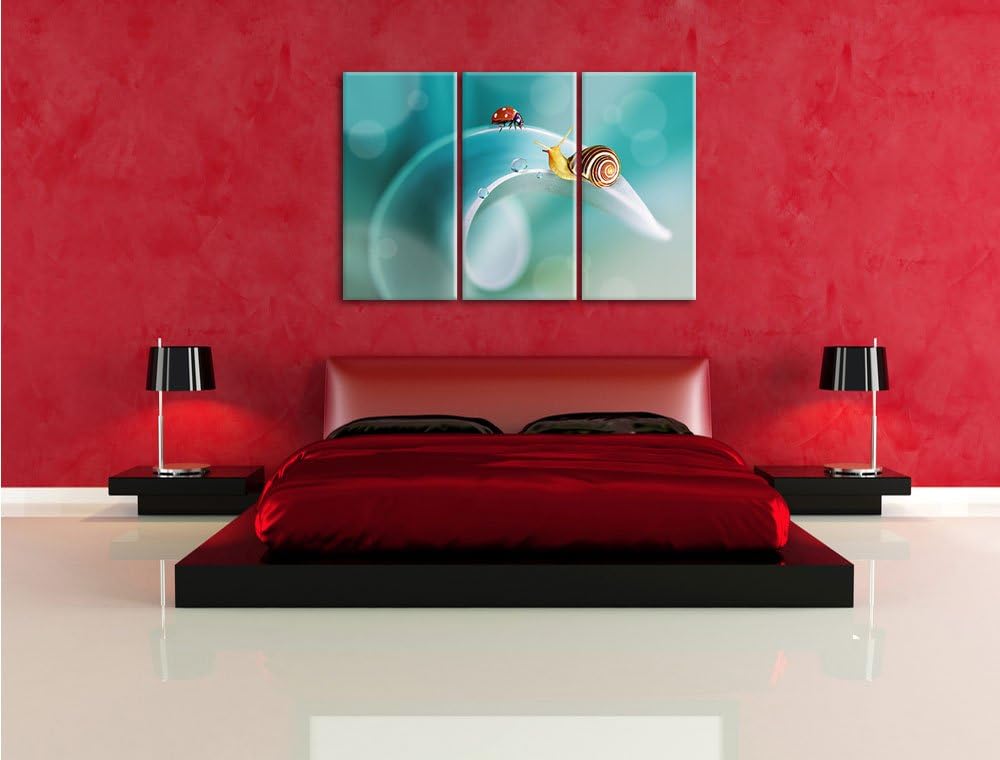 Pixxprint eine Schnecke und Marienkäfer / 3-Teilig/Gesamtmass 120cm Leinwandbild bespannt auf Holzra