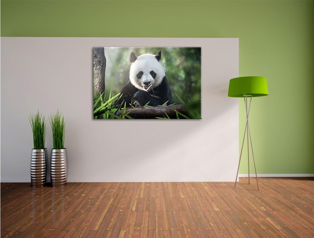 Pixxprint Niedlicher Panda isst Bambus / 100x70cm Leinwandbild bespannt auf Holzrahmen/Wandbild Kuns