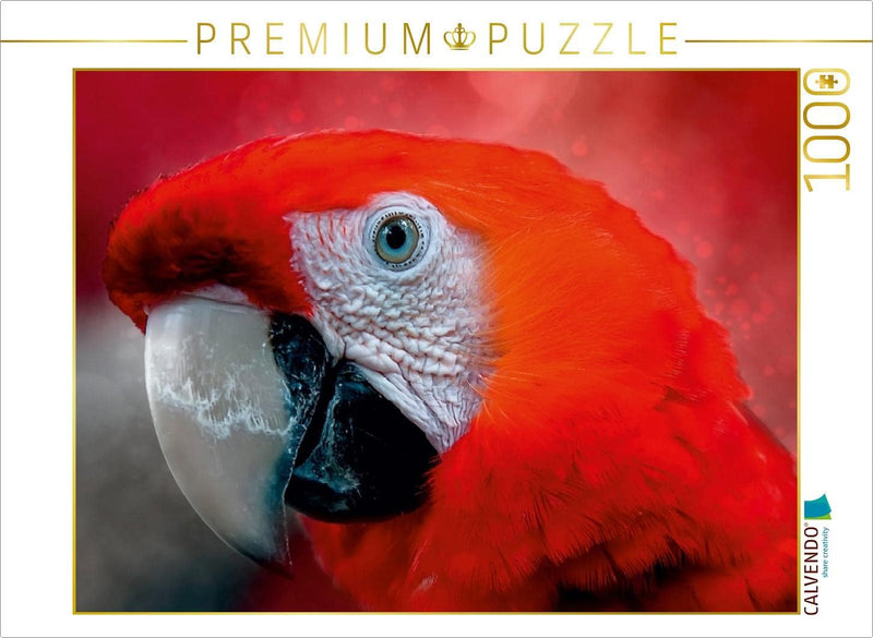 CALVENDO Puzzle Mein bunter Papagei 1000 Teile Lege-Grösse 64 x 48 cm Foto-Puzzle Bild von Peter Rod