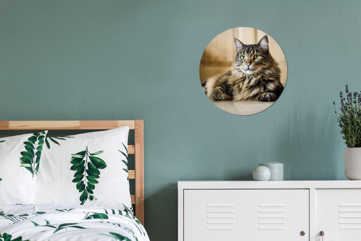 MuchoWow Wandbild Rund Wanddeko Deko Wohnzimmer Bilder 30x30 cm Schwarz und braun gestreifte Langhaa
