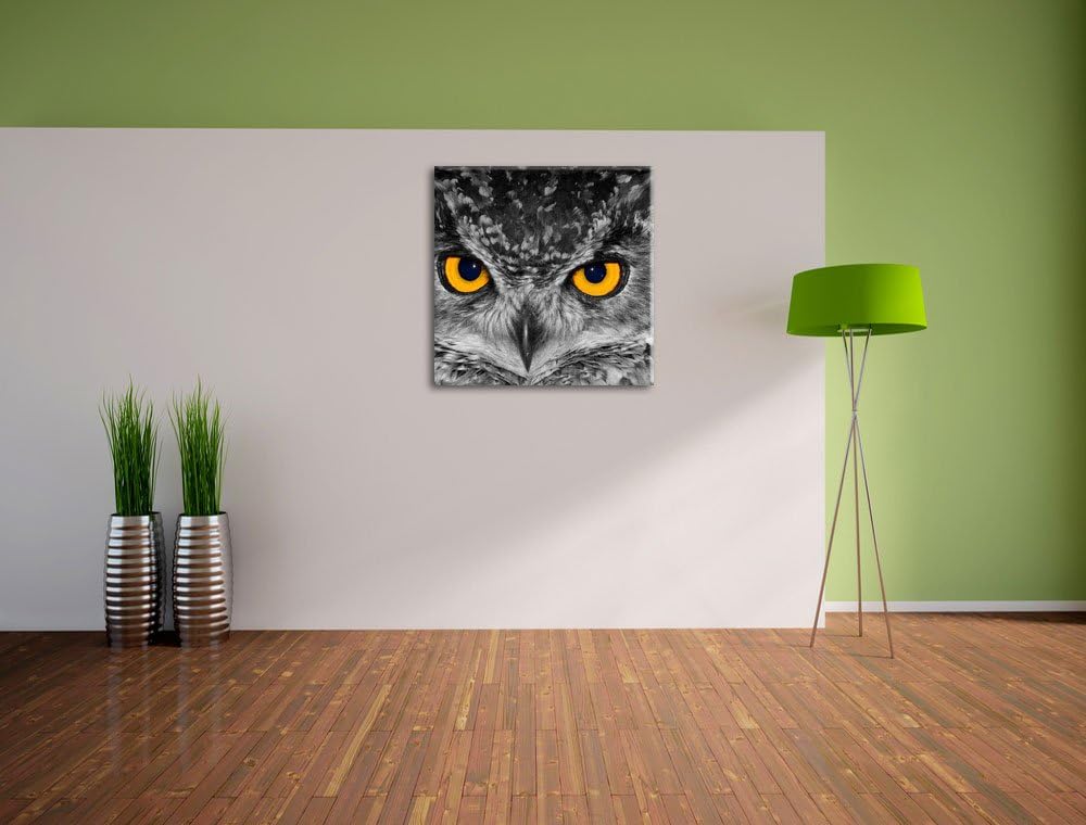 Pixxprint Eule mit Augen als Leinwandbild/Grösse: 70x70 cm/Wandbild/Kunstdruck/fertig bespannt, 70x7