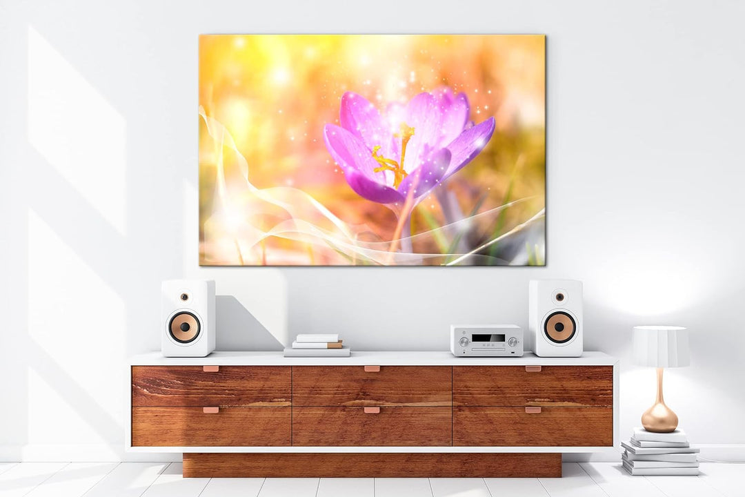 deyoli blühender frühlings Krokus Format: 80x60 als Leinwandbild, Motiv fertig gerahmt auf Echtholzr