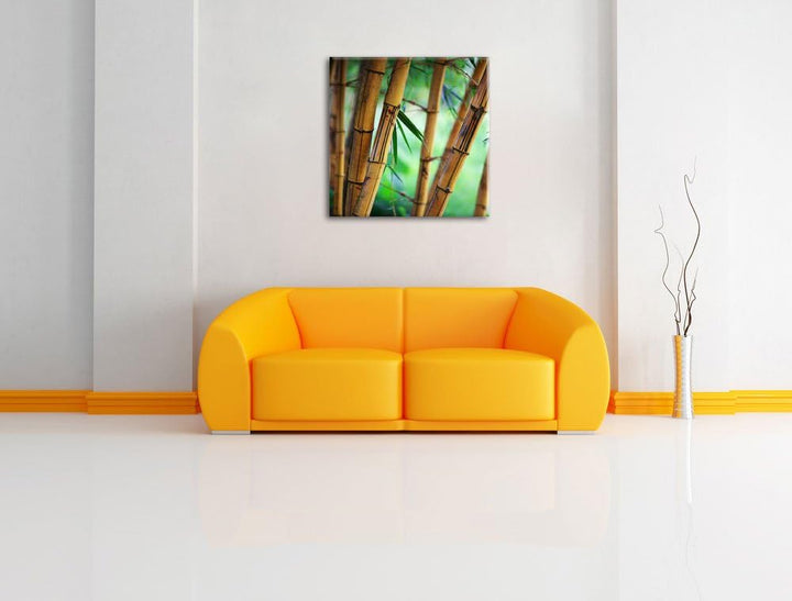 Alter Bambus Wald, Format: 70x70 auf Leinwand, XXL riesige Bilder fertig gerahmt mit Keilrahmen, Kun