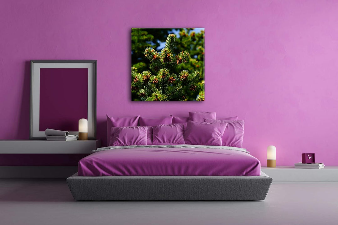deyoli Pinienbaum mit Zapfen Format: 60x60 als Leinwandbild, Motiv fertig gerahmt auf Echtholzrahmen