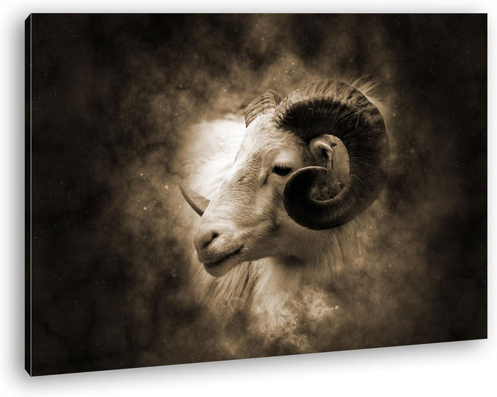 deyoli Bezaubernder Widderkopf Format: 60x40 Effekt: Sepia als Leinwandbild, Motiv fertig gerahmt au