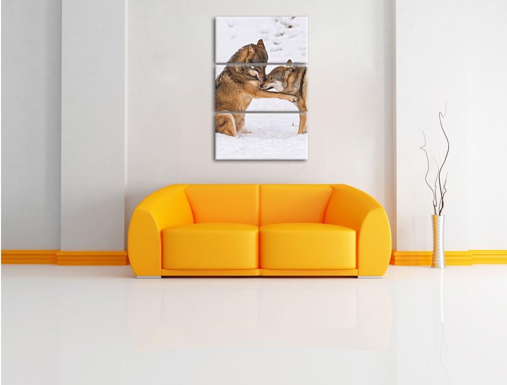 Pixxprint spielendes Wolfsrudel 3-Teiler Leinwandbild 120x80 Bild auf Leinwand