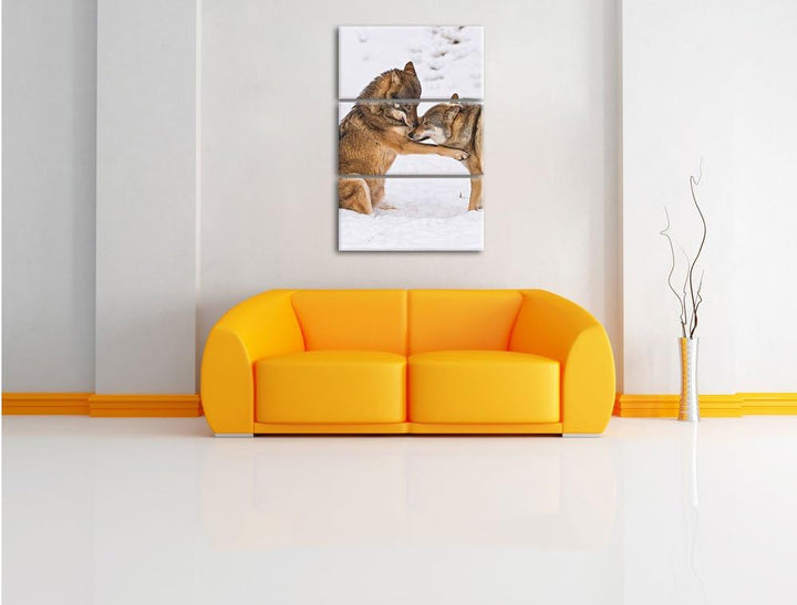 Pixxprint spielendes Wolfsrudel 3-Teiler Leinwandbild 120x80 Bild auf Leinwand