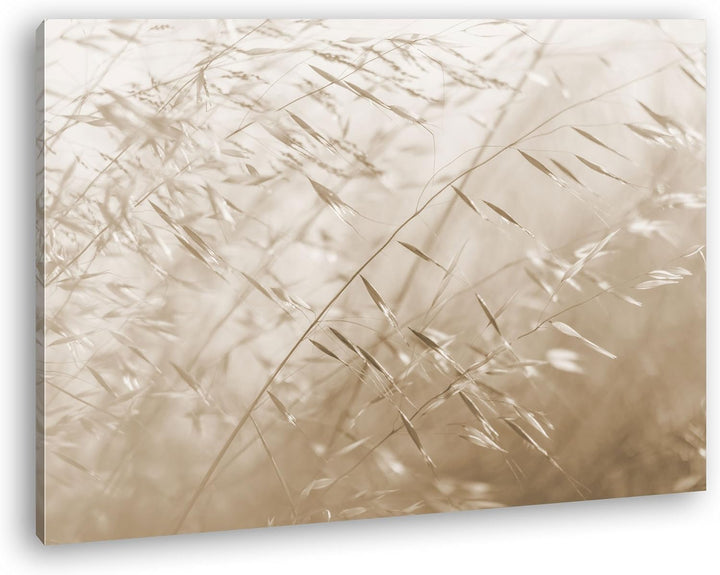 deyoli Wiesengräser Format: 80x60 Effekt: Sepia als Leinwand, Motiv fertig gerahmt auf Echtholzrahme