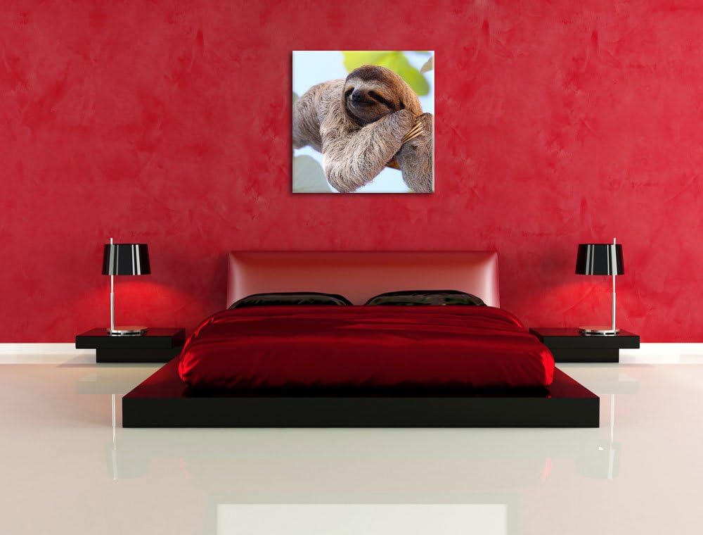 Pixxprint schönes Faultier hängt von AST als Leinwandbild/Grösse: 70x70 cm/Wandbild/Kunstdruck/ferti