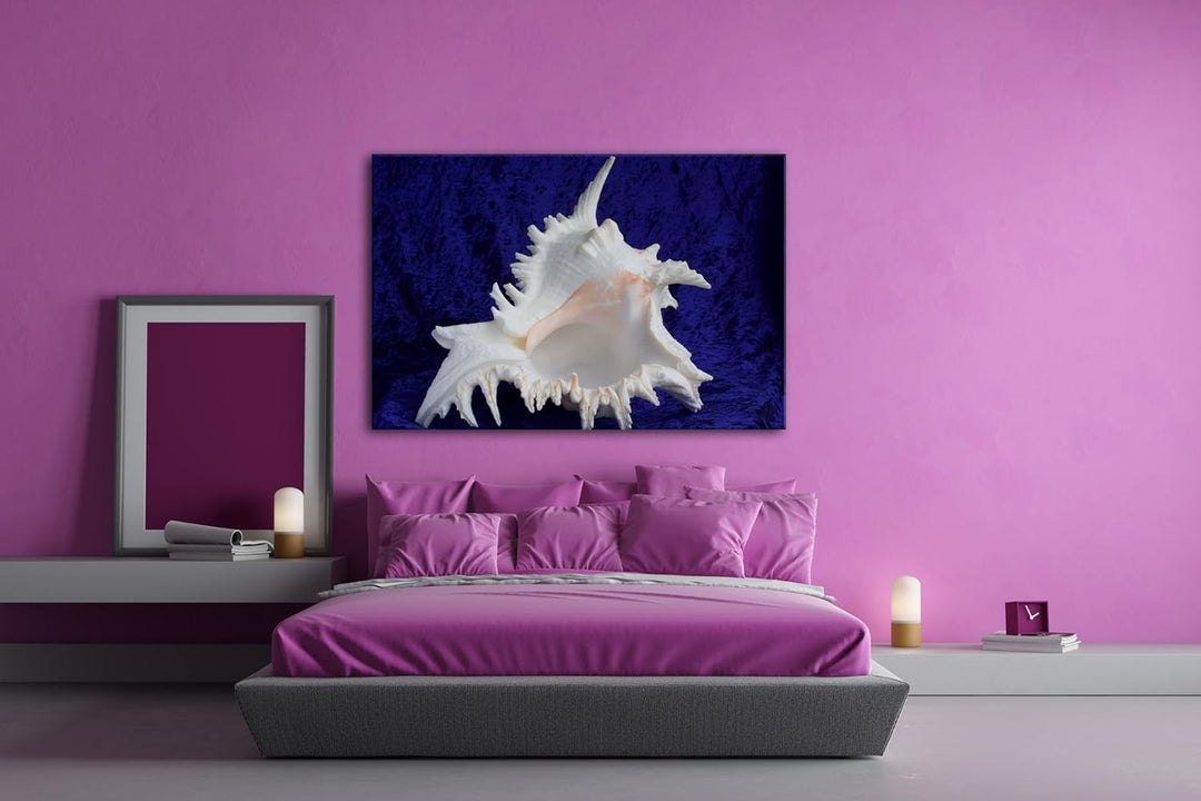 deyoli beeindruckende Muschel Format: 80x60 als Leinwandbild, Motiv fertig gerahmt auf Echtholzrahme