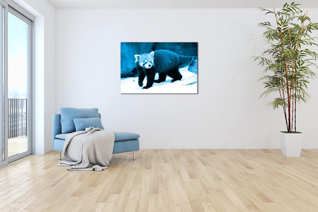 deyoli niedliches Tier in Schneelandschaft Format 80x60 Effekt: Monocrome Blau als Leinwandbild, Mot