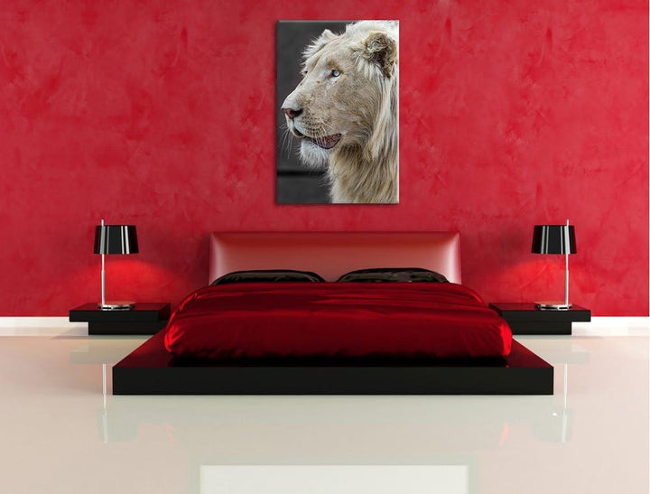 stolzer weisser Löwe schwarz/weiss auf Leinwand, XXL riesige Bilder fertig gerahmt mit Keilrahmen, K