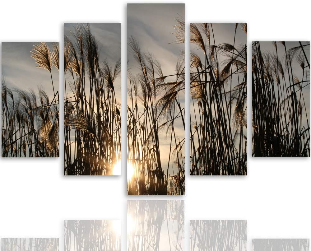 Feeby Bilder Natur 200x100 cm - Leinwandbild 5 Teilig XXL Kunstdruck Gras Sonne braun Leinwandbild X