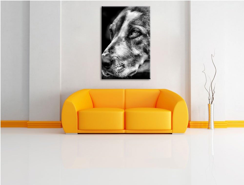 Pixxprint hübscher Hund im Seitenprofil als Leinwandbild | Grösse: 100x70 | Wandbild| Kunstdruck | f