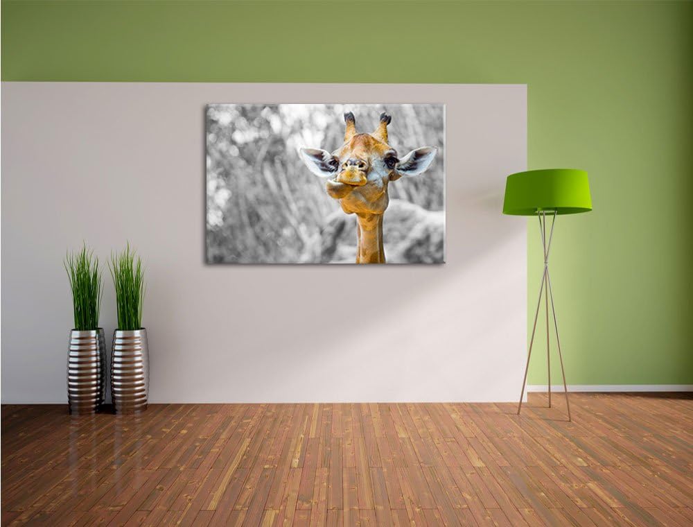 Pixxprint Giraffe in der Natur B&W Detail als Leinwandbild/Grösse: 100x70 cm/Wandbild/Kunstdruck/fer