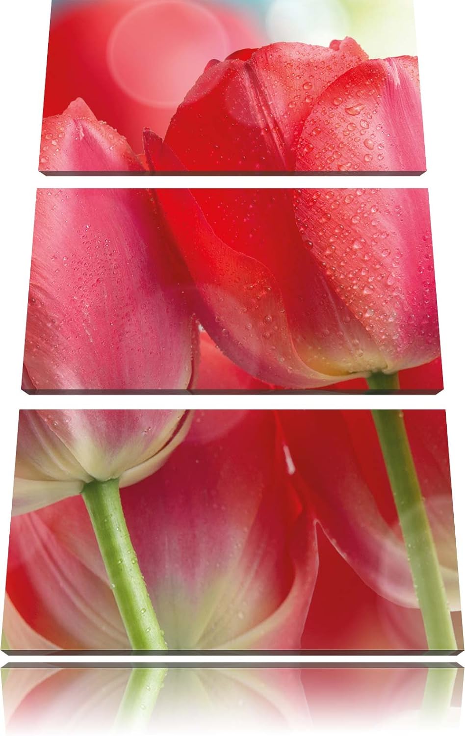 Pixxprint Rote Tulpen als Leinwandbild - Grösse: 3-Teilig (120x80cm) - Wandbild - Kunstdruck - ferti