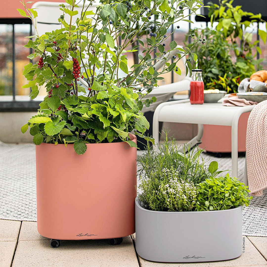 LECHUZA PILA Color Planter korallrot 15908 35x35x33 cm Korallrot, 35x35x33 cm Korallrot