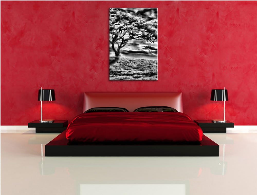 Pixxprint Einsamer Baum schwarz weiss / 100x70cm Leinwandbild bespannt auf Holzrahmen/Wandbild Kunst