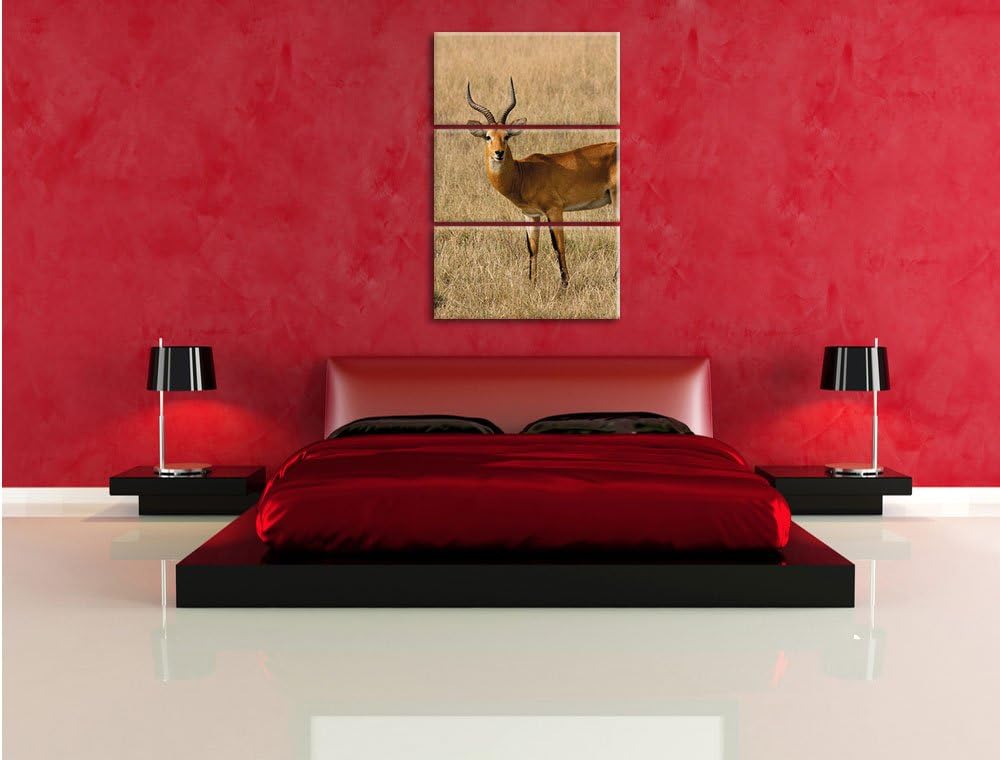 Pixxprint Dorkasgazelle im trockenen Gras als Leinwandbild/Grösse: 3 Teilig (120x80) cm/Wandbild/Kun