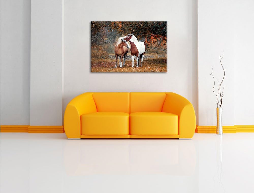 zwei schmusende Pferde, Format: 100x70 auf Leinwand, XXL riesige Bilder fertig gerahmt mit Keilrahme
