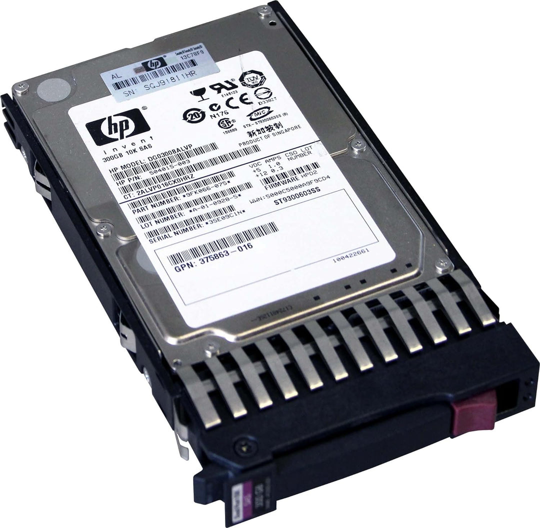 300GB 10K 2.5 DP HPL SAS HDD