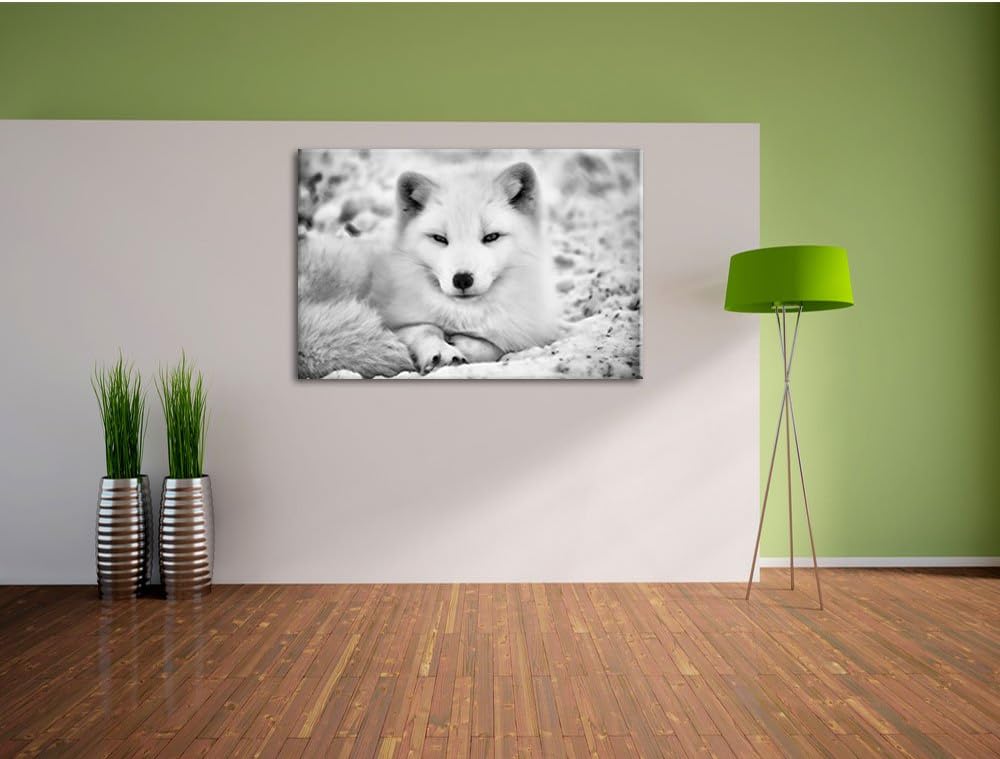 Monocrome, Weisser Fuchs, Format: 100x70 auf Leinwand, XXL riesige Bilder fertig gerahmt mit Keilrah