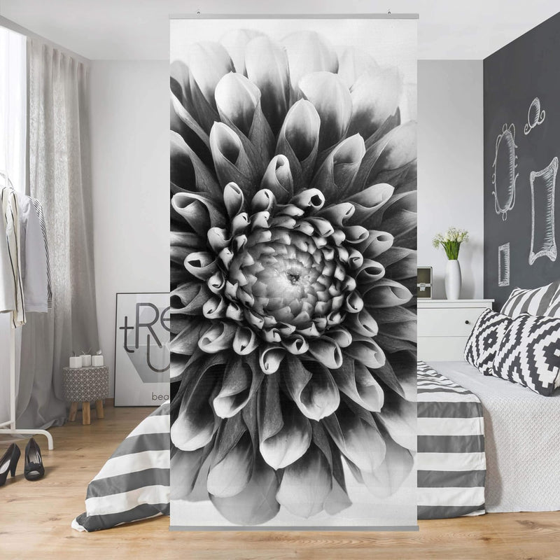 Bilderwelten Raumteiler Aster II 250x120cm inkl. transparenter Halterung 250x120cm incl. transparent