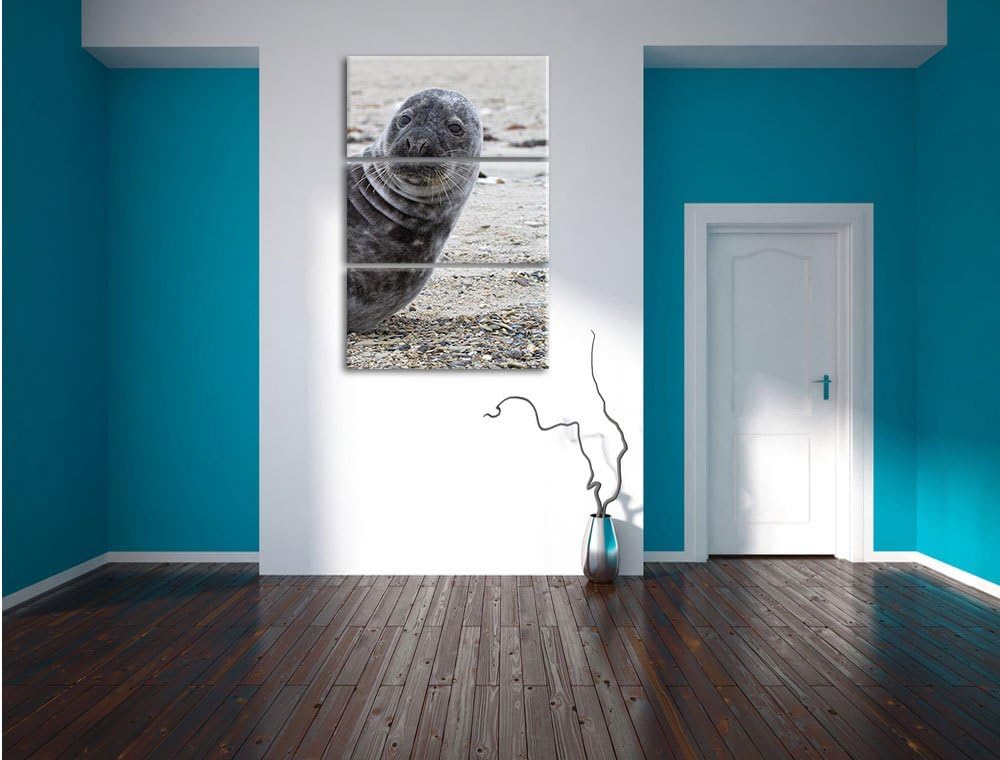 Pixxprint Robbe an Kiesstrand als Leinwandbild/Grösse: 3 Teilig (120x80) cm/Wandbild/Kunstdruck/fert