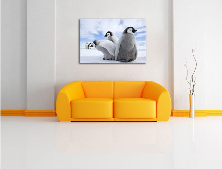 Pixxprint Kaiserpinguin Gruppe / 100x70cm Leinwandbild bespannt auf Holzrahmen/Wandbild Kunstdruck D