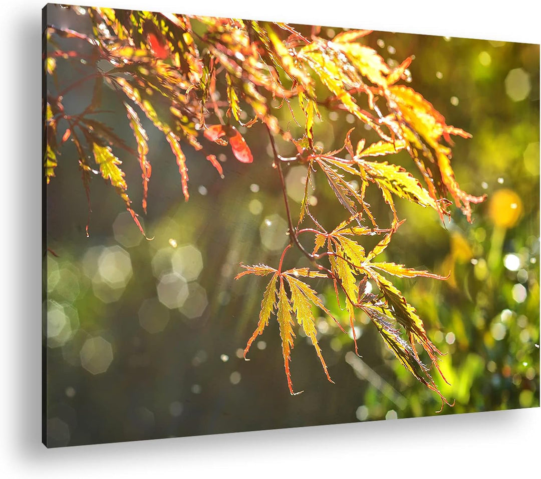 deyoli Ahornblätter im Herbst Format: 80x60 als Leinwand, Motiv fertig gerahmt auf Echtholzrahmen, H