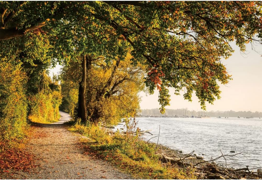 Renaiss 4.5x3m Grüner Baum Fluss Landschaft Hintergrund Ländlichen Frühling Herbst Landschaft Outdoo